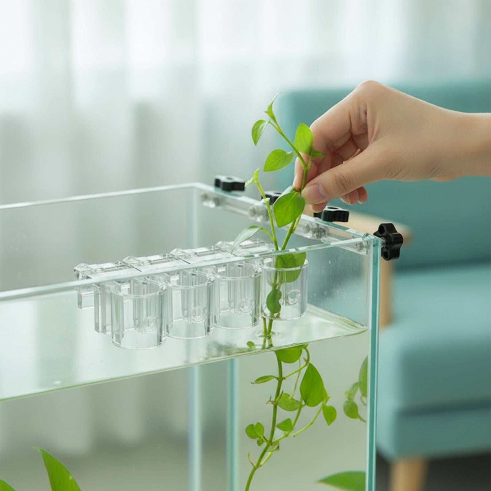Aquarium Planted - 6個入り水槽プランター クリア水耕栽培サポートクリップ ネジ付き 水生植物カップ クランプ式 水槽愛好家、水槽用