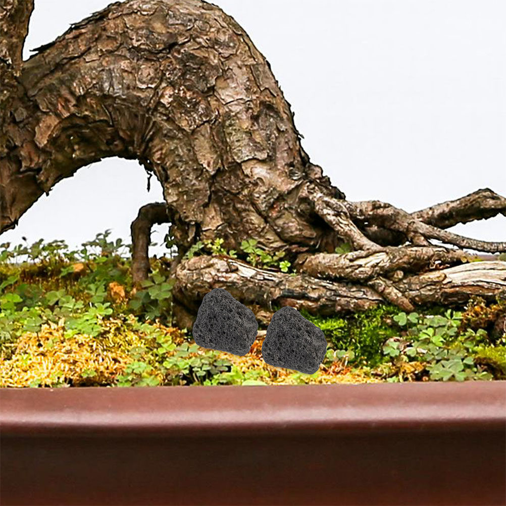 Aquarium Planted Tank Filter - 水槽用火山岩 天然小石 水槽用鉢植え植物用 浄水フィルター 窒素化火山石