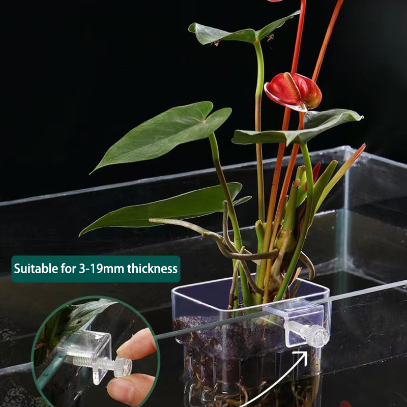 Aquarium For Planted Tank - 多機能フィッシュ水族館、水草植栽カップ、魚の分離ボックス、水耕植物、造園