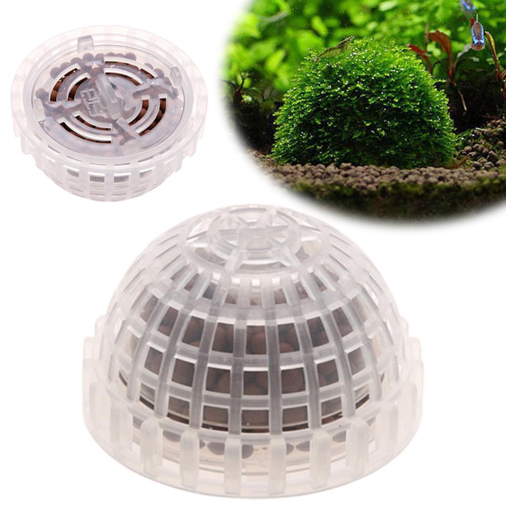 Aquarium Plant Echinodorus - 1pc 水生ペット用品装飾水族館苔ボール生植物フィルタージャワエビ水槽の装飾アクセサリー
