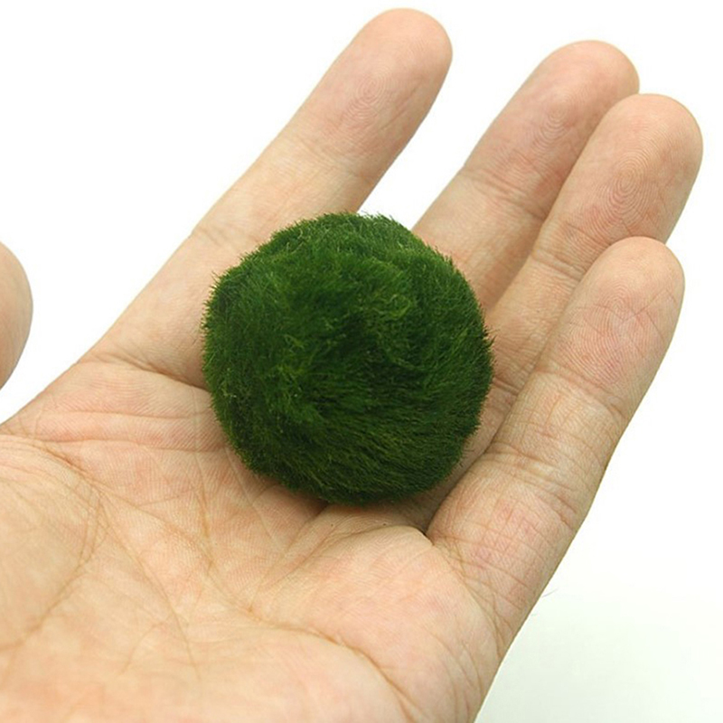 Aquarium Plant Echinodorus - 3～4cmのマリモモスボール、水槽用生植物藻類、魚やエビの水槽装飾、シミュレーショングリーン藻類ボール、人工植物