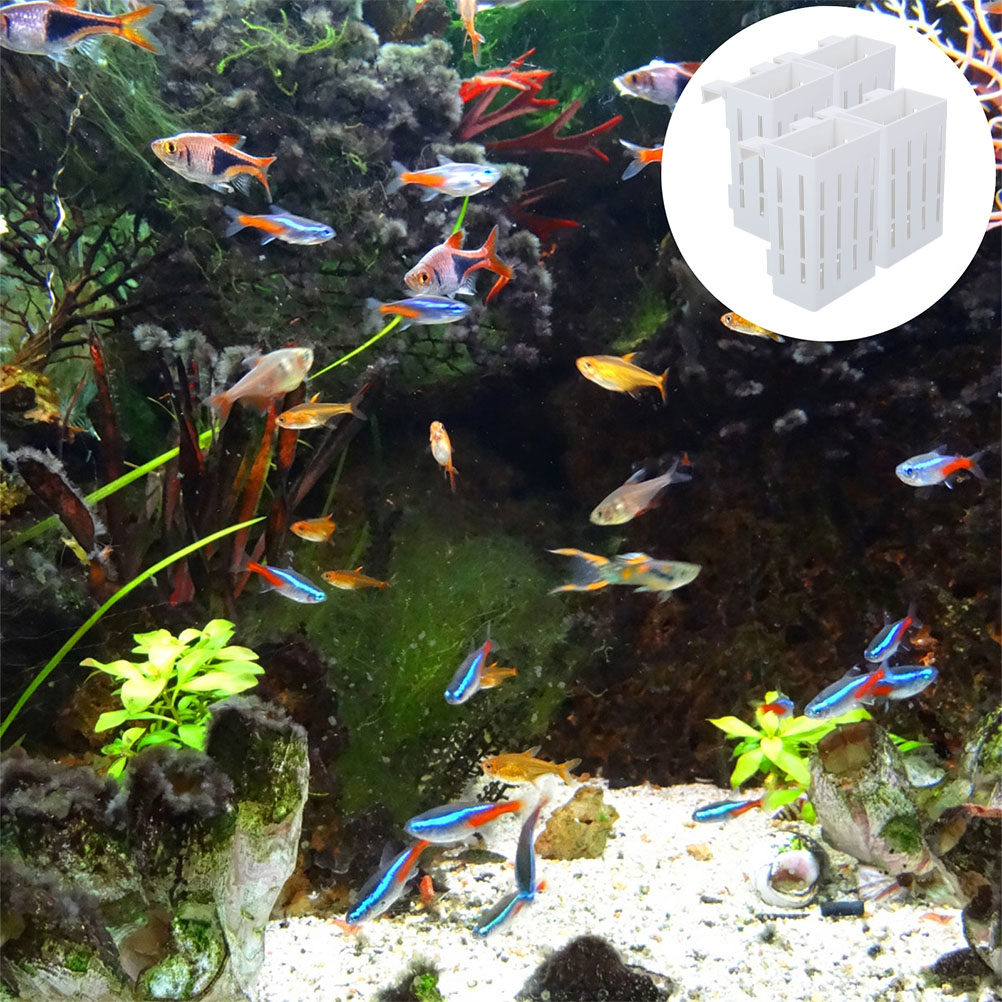 水槽用水生植物ホルダー4個セット、水槽の景観装飾と栄養サポー - Aquarium Plant Nutrients のレビューと価格
