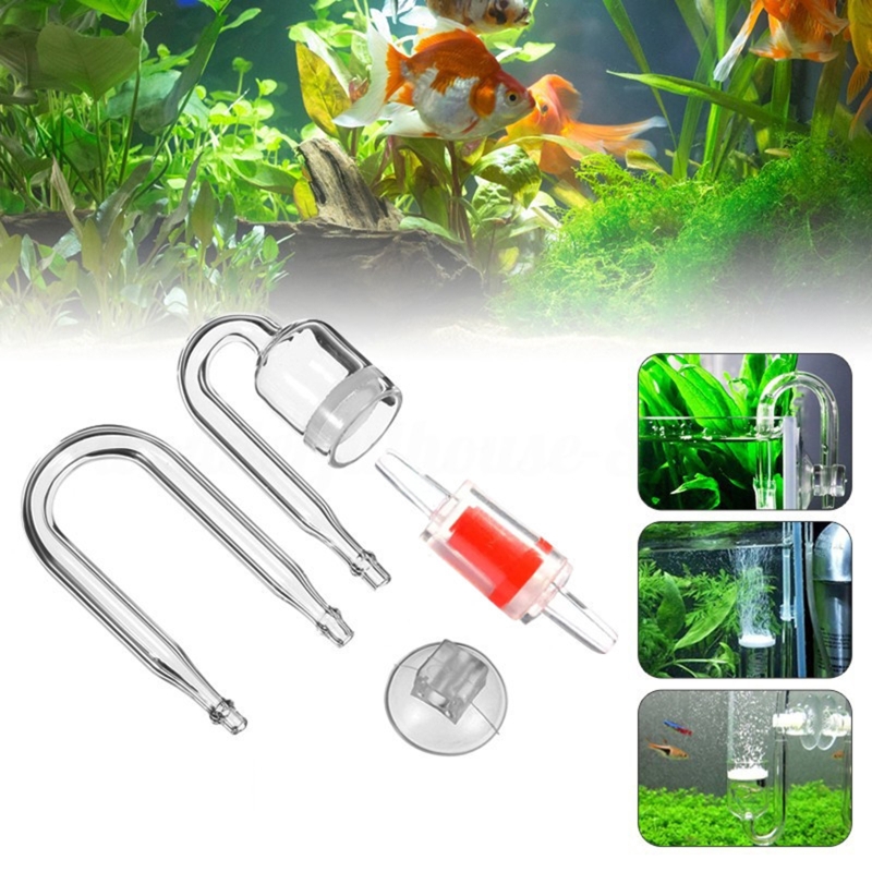 水族館用CO2ディフューザー,日曜大工のガラスタンク,バブル - Aquarium Plant Echinodorus のレビューと価格