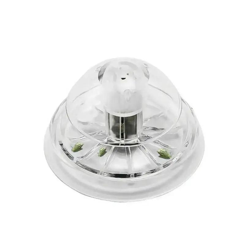 2026年新発売 6/8CM 透明プラスチック製カタツムリ捕 - Aquarium For Planted Tank のレビューと価格