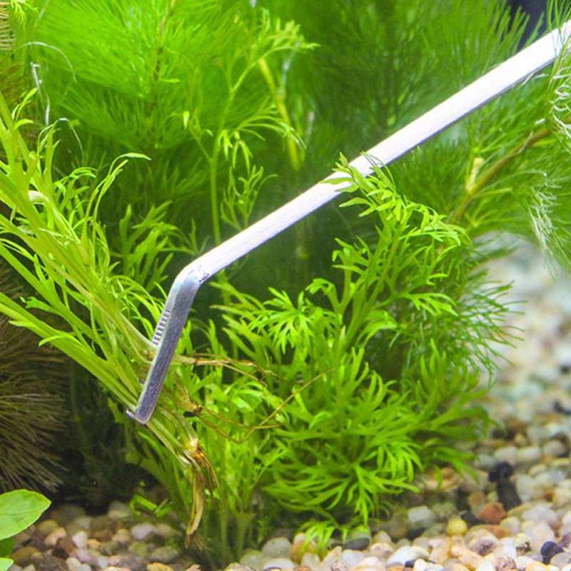 プロの水槽メンテナンスツールキット、水槽クリーナー、ピンセッ - Planted Aquarium Maintenance Kit のレビューと価格