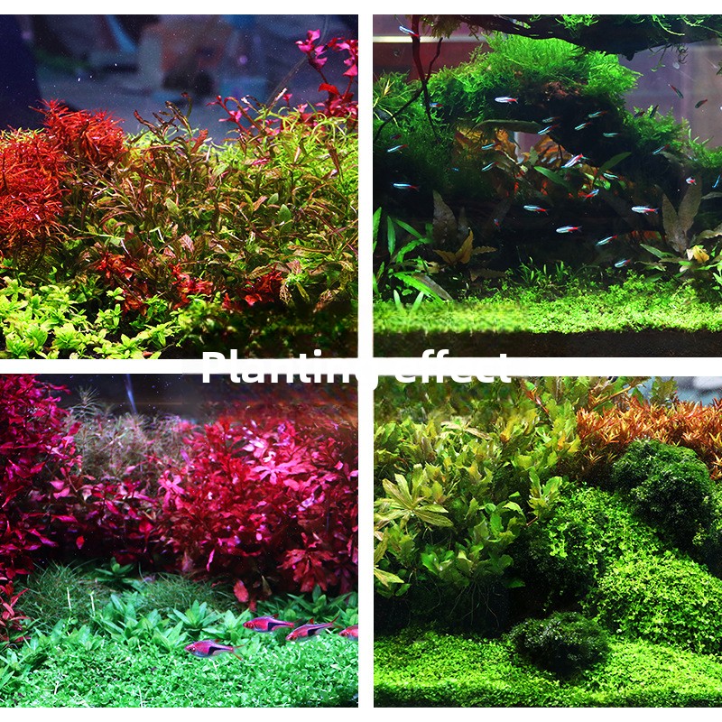 SYSENCIAGA 水草水槽用培地土壌-栄養豊富な底砂-水 - Aquarium For Planted Tank のレビューと価格