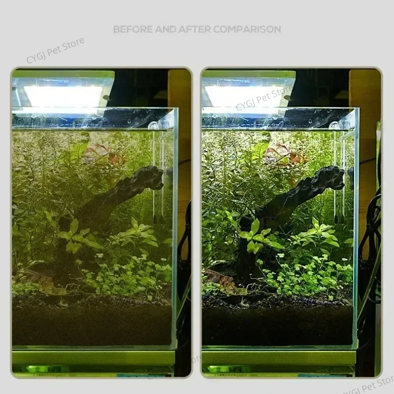 水槽クリーニングツールフラット砂藻類除去デュアルユースガラス - Planted Aquarium Maintenance Kit のレビューと価格