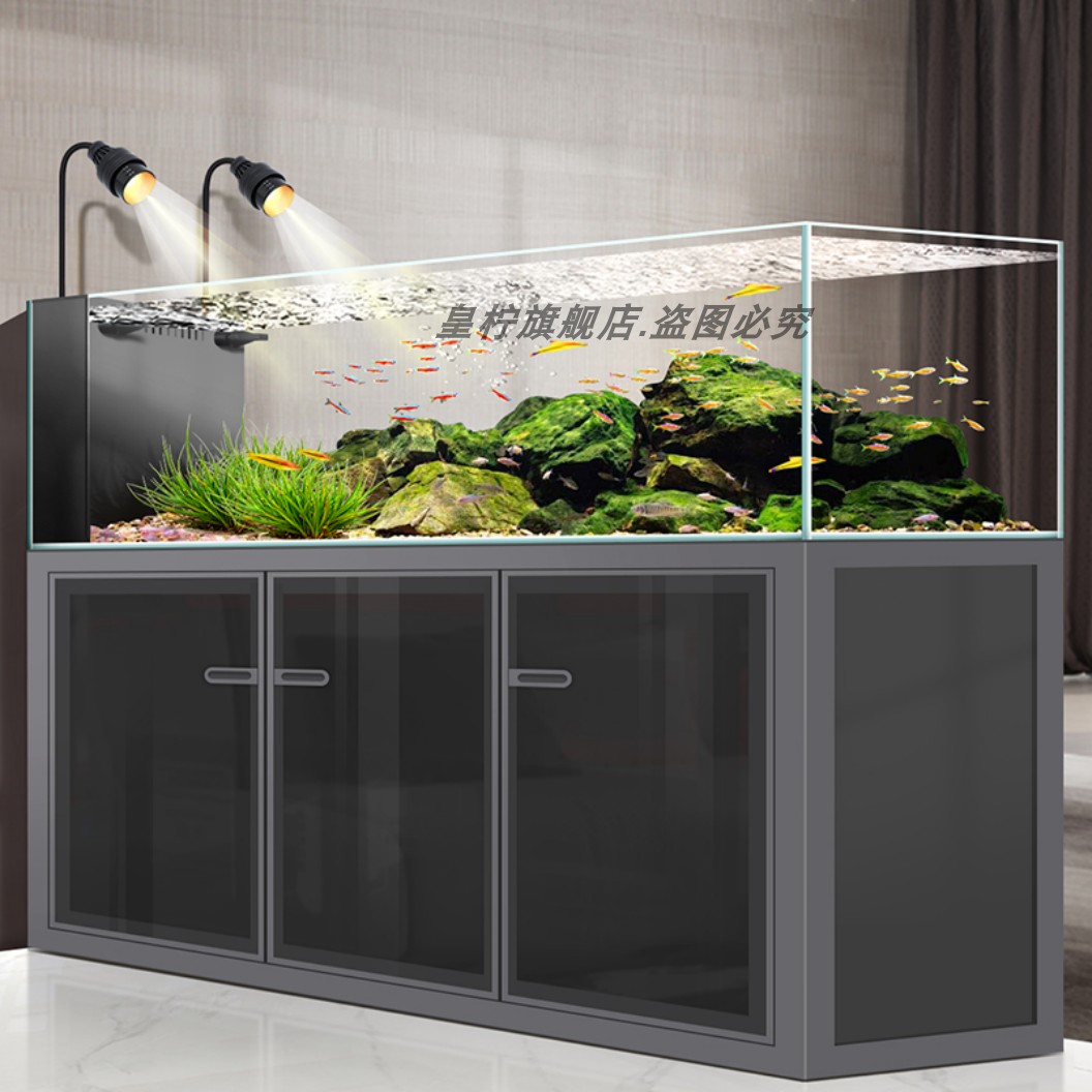 Yjq工業製ウィンドストリームタンク リビングルーム用 家庭 - Aquarium Plant Echinodorus のレビューと価格
