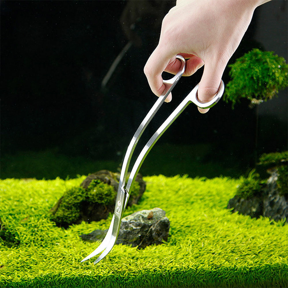 水族館アクセサリーハードステンレス鋼水族館ツールはさみピンセ - Planted Aquarium Maintenance Kit のレビューと価格