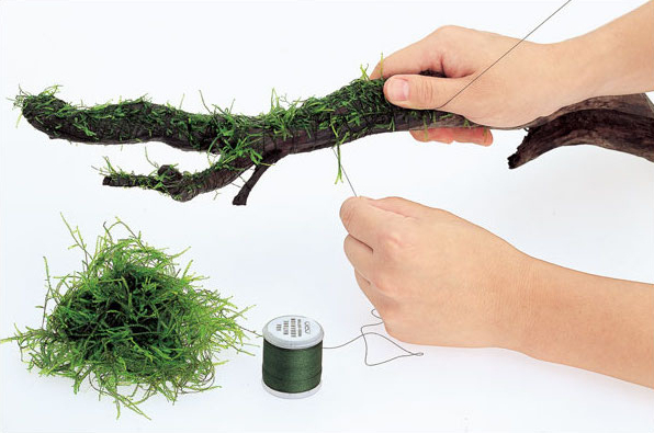 分解可能な水槽用流木装飾、生きた水草、モス、シダ、ワイヤータ - Aquarium Plant Echinodorus のレビューと価格