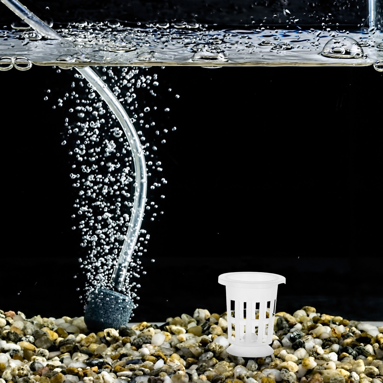 吸盤付き水耕栽培ネットポット1セット、高強度メッシュ植物バス - Aquarium For Planted Tank のレビューと価格