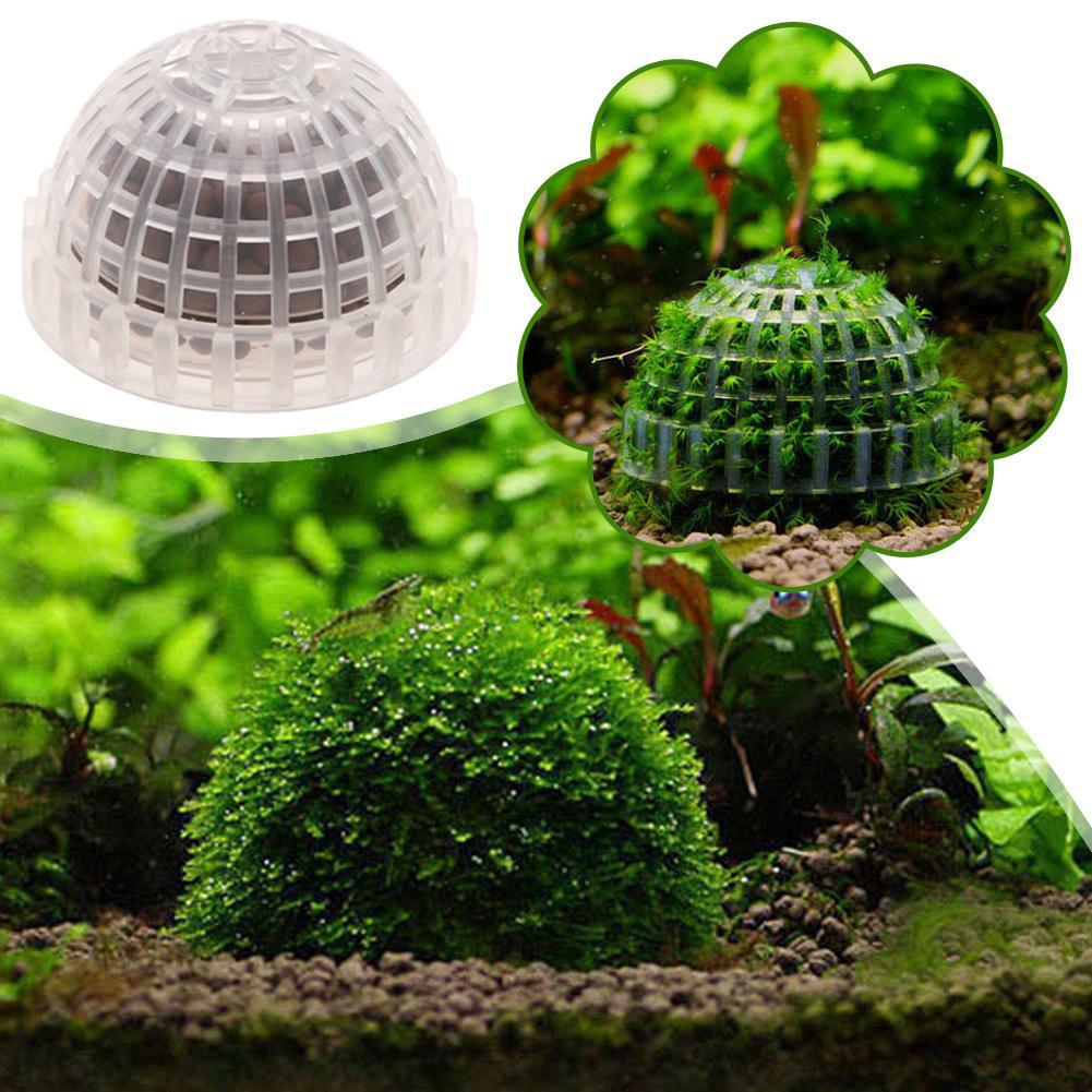 1/2/3/4/5 個水族館装飾植物バイオモスボールホルダー - Aquarium Planted Tank Filter のレビューと価格