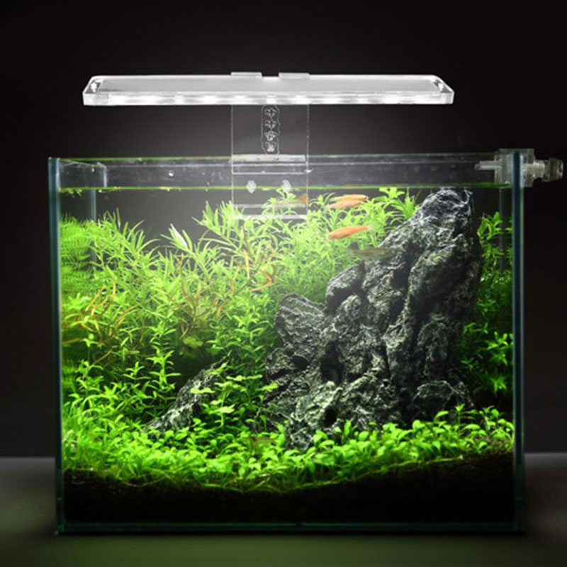 LED水族館ライトの植物の点滅,厚さ3〜8mm,低消費電力 - Planted Aquarium Price のレビューと価格