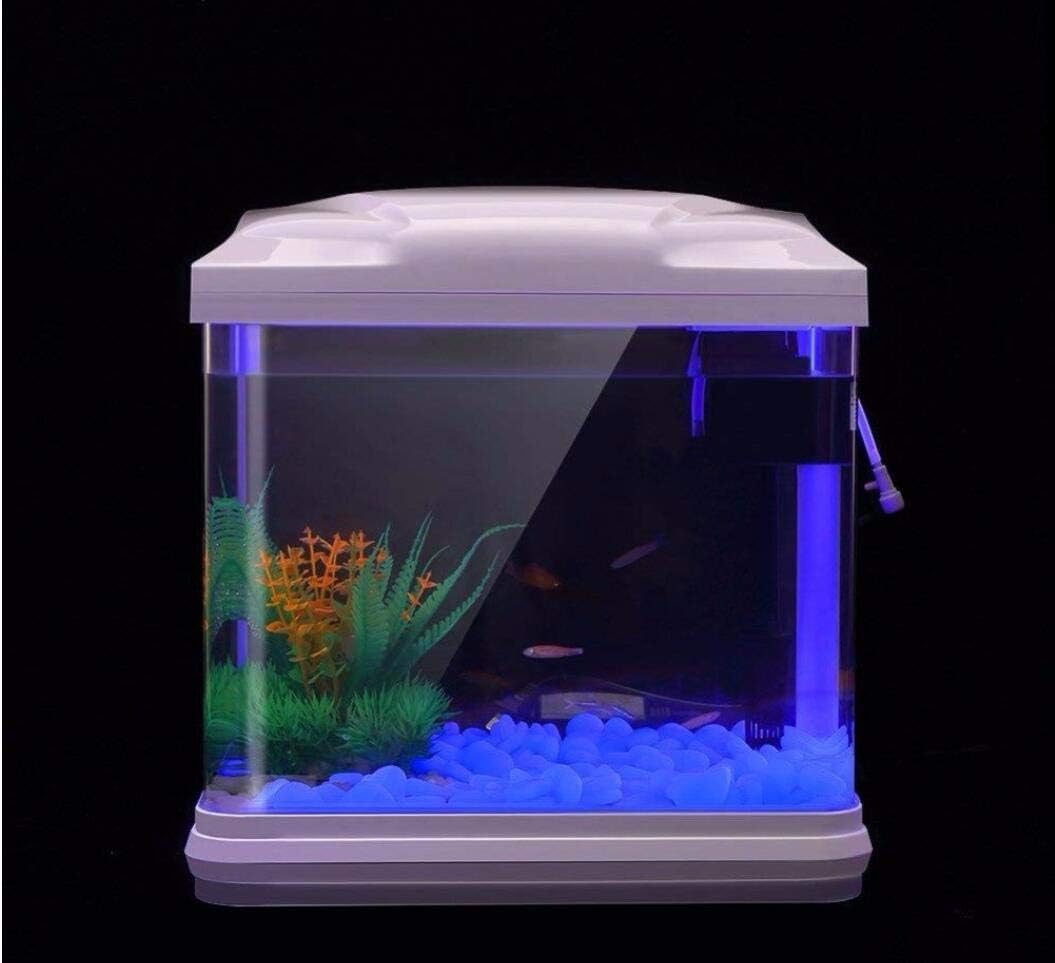 水槽岩グローブルー小石庭用水槽水族館植木鉢盆栽歩道私道 - Aquarium For Planted Tank のレビューと価格