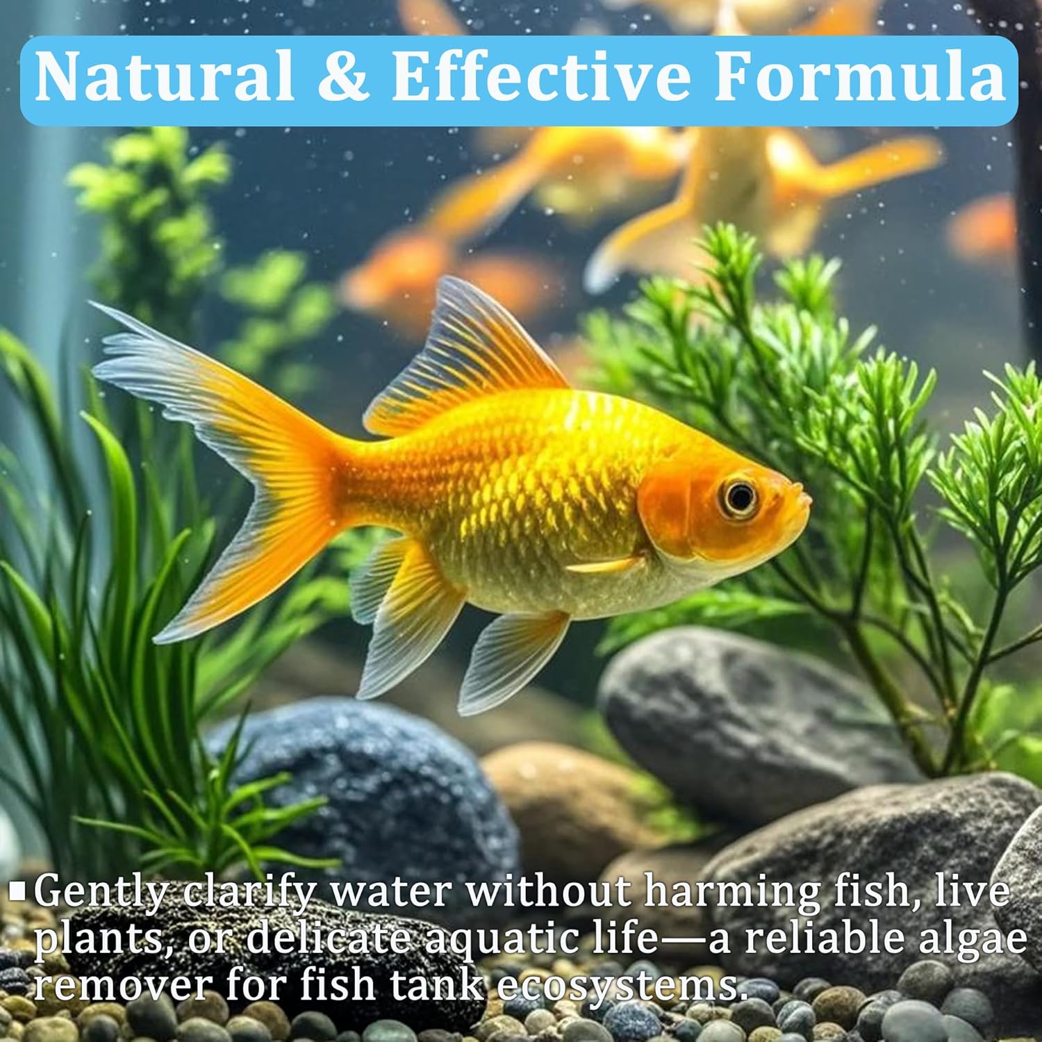 水槽水浄化タブレット 魚タンク浄化剤 急速透明化 濁り除去  - Aquarium Plant Nutrients のレビューと価格
