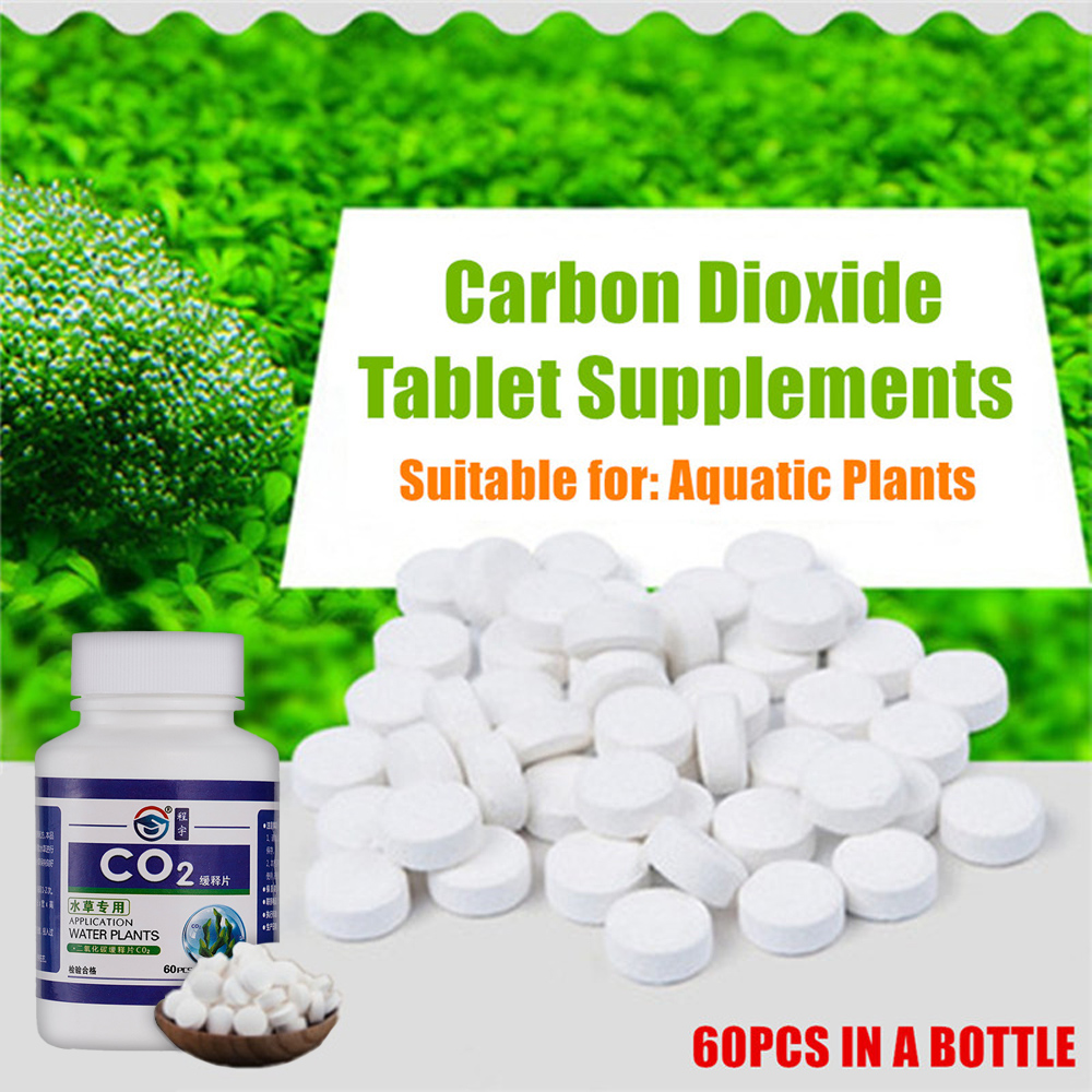 CO2 タブレット二酸化炭素ディフューザー水植物用水生葉フロ - Aquarium Plant Vitamins のレビューと価格