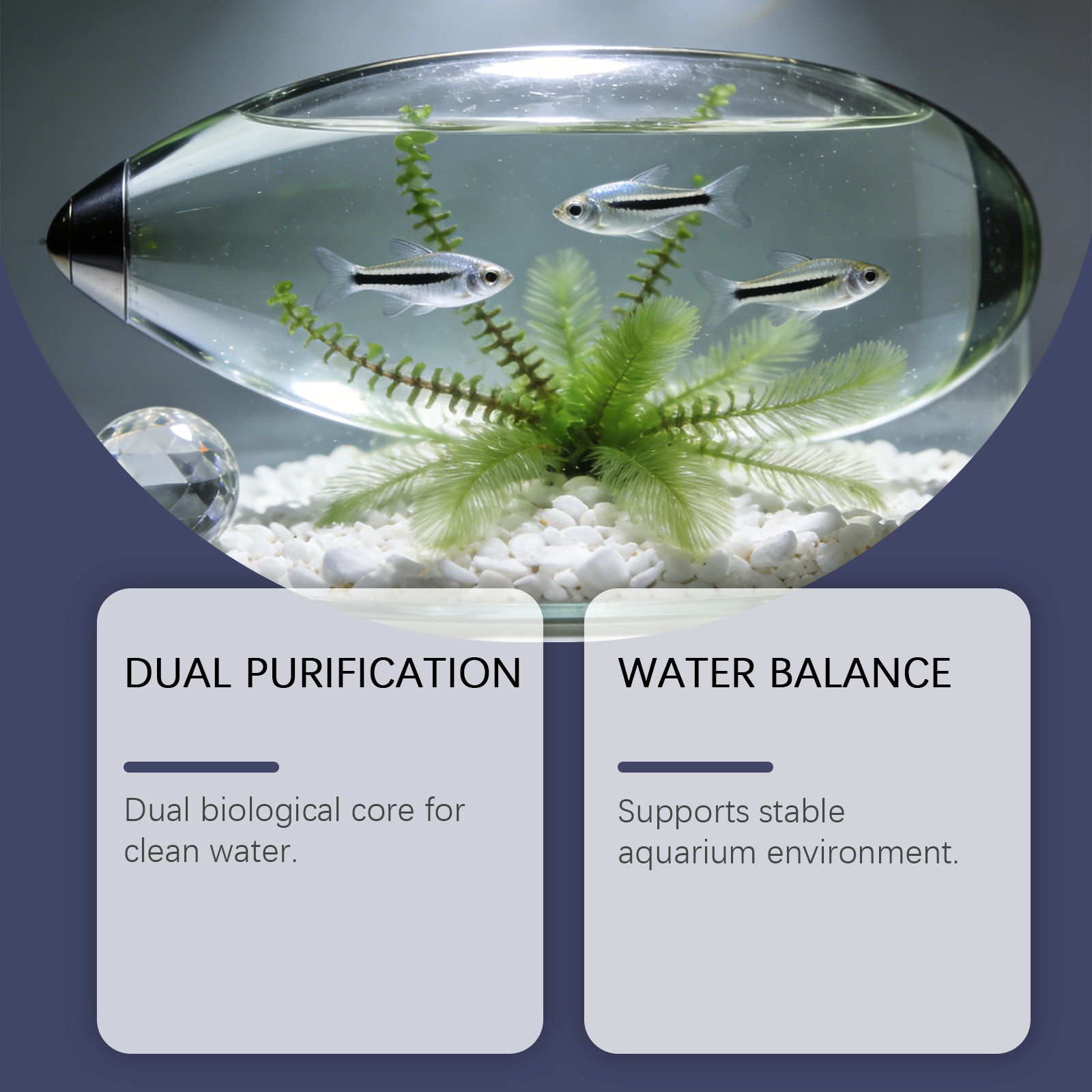 水槽用藻類除去タブレット、濁った緑色の水をすばやく浄化、藻類 - Planted Aquarium Cloudy Water のレビューと価格