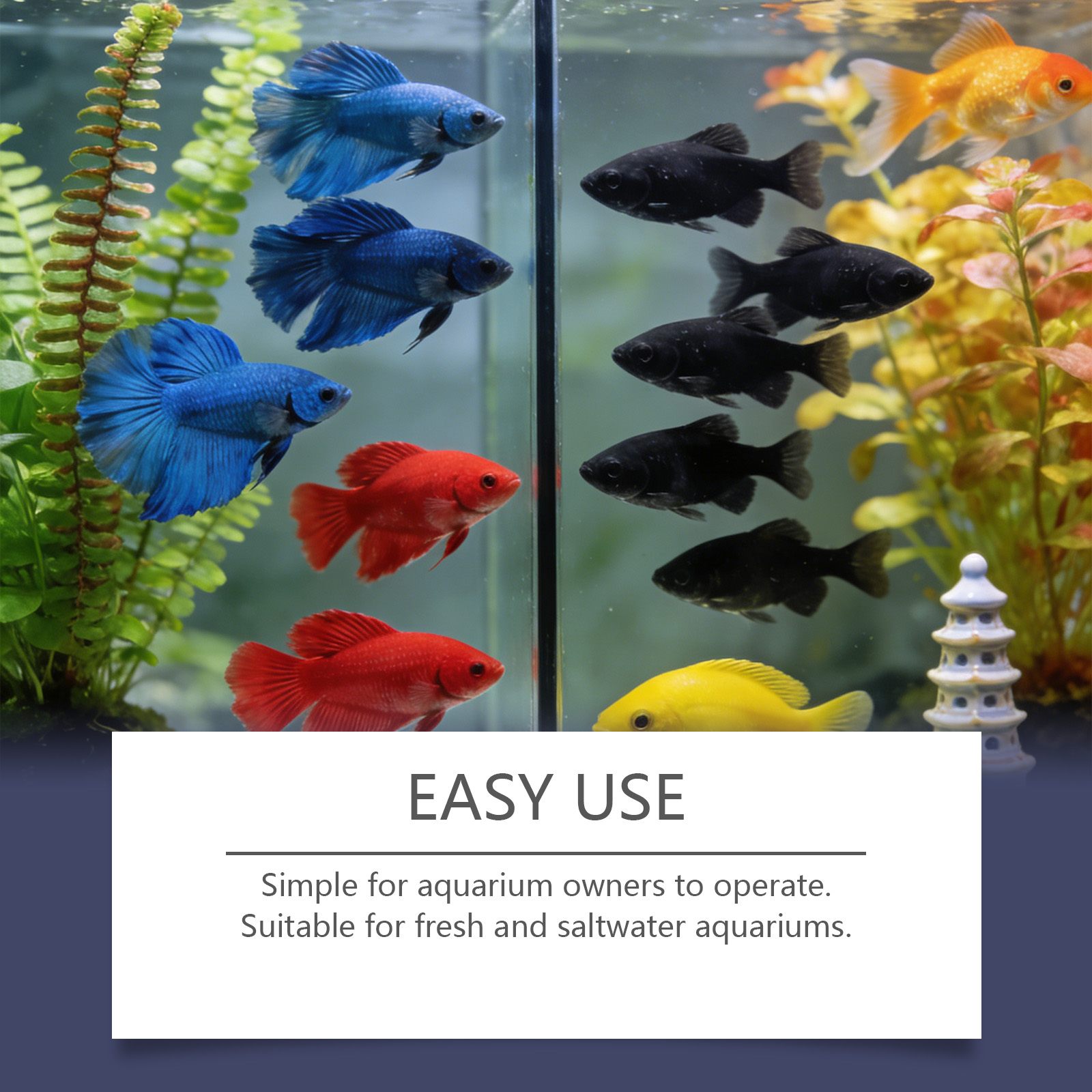 水槽用藻類除去タブレット、濁った緑色の水をすばやく浄化、藻類 - Planted Aquarium Cloudy Water のレビューと価格