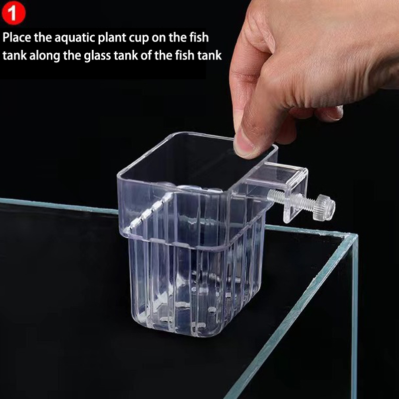 多機能フィッシュ水族館、水草植栽カップ、魚の分離ボックス、水 - Aquarium For Planted Tank のレビューと価格