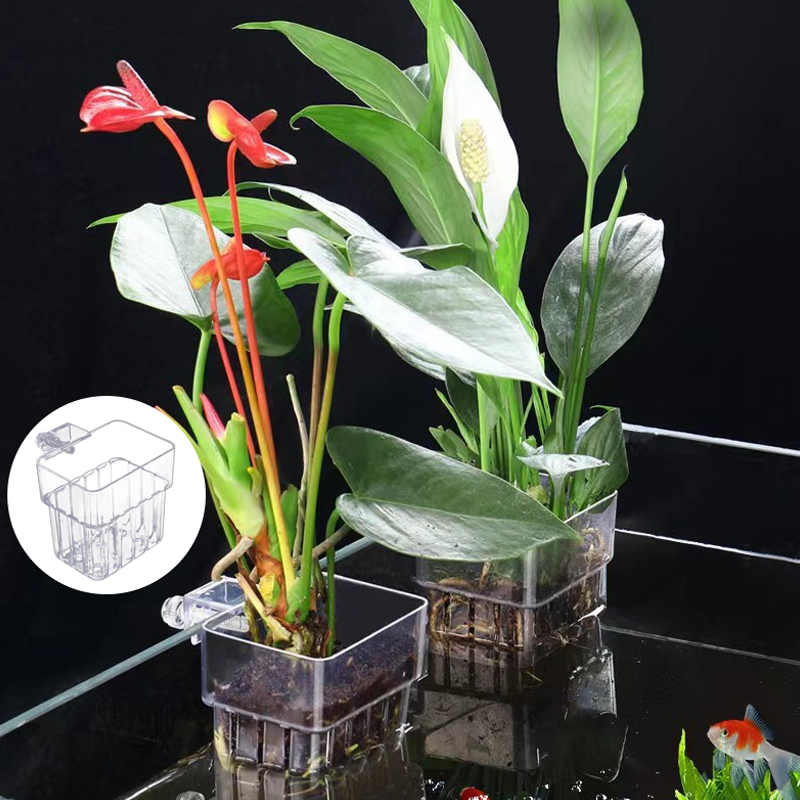 多機能フィッシュ水族館、水草植栽カップ、魚の分離ボックス、水 - Aquarium For Planted Tank のレビューと価格