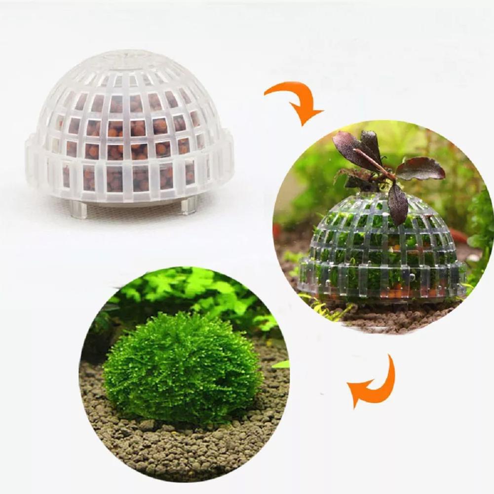 1pc 水生ペット用品装飾水族館苔ボール生植物フィルタージャ - Aquarium Plant Echinodorus のレビューと価格