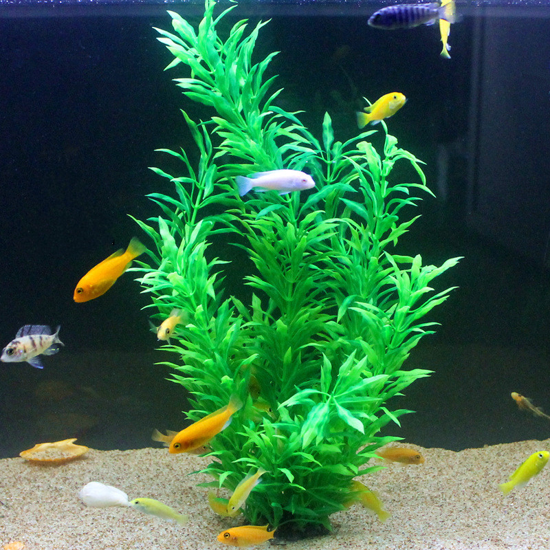 人工水槽50cm,珍しい植物,水族館,偽の竹の葉,水草,プラ - Aquarium For Planted Tank のレビューと価格