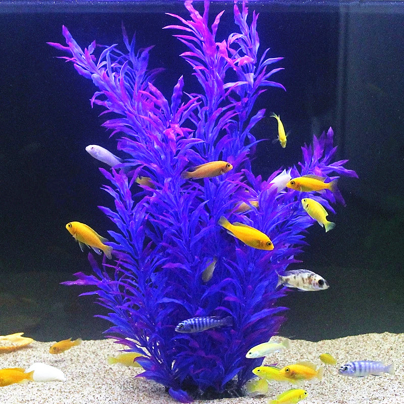 人工水槽50cm,珍しい植物,水族館,偽の竹の葉,水草,プラ - Aquarium For Planted Tank のレビューと価格